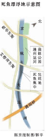 京杭运河死鱼绵延4公里长 河水污染严重(图)